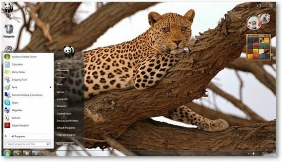 Wild Animals Theme for Windows 7