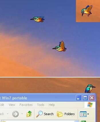 Birds on desktop