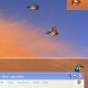 Fun with Birds On Desktop - Flying Birds On Your Desktop