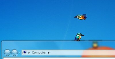 Bird on Desktop