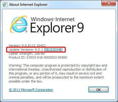 Internet Explorer 9.0.1