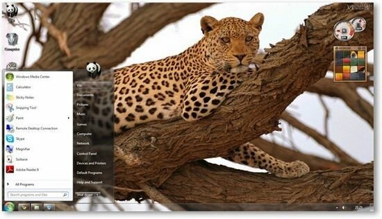 Vilda djur Tema för Windows 7