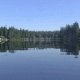 Sqirlz Water Reflections - Add animation to Images