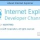 Download New Internet Explorer Version for Windows 7 and Windows 8.1