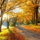 Colorful, Beautiful Pathway Wallpapers for Desktop