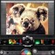 Pixlr-o-matic - Instagram look alike software for Windows