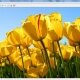 Universal Viewer - prohlížeč souborů pro širokou škálu formátů