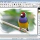 PhotoFiltre - пълен образ ретуширане програма
